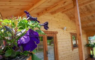 Loghouse Residential Log Cabins Ireland - One Bed Type D