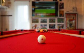 Garden-Snooker-Room